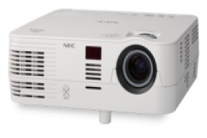 Owl Image